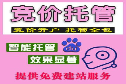 SEM广告投放中的数据分析和优化案例
